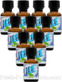 10 x ICE MINT - PACK