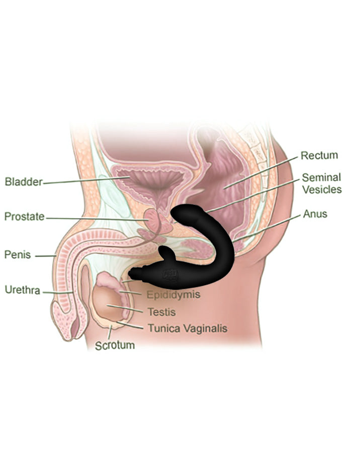 VIP - 7 Function Perfect Prostate Master