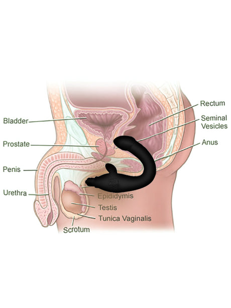 VIP - 7 Function Perfect Prostate Master